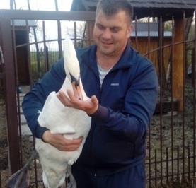 Михаил