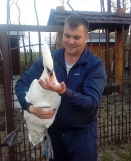 Михаил